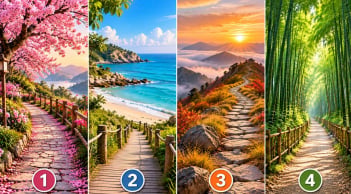 Chọn 1 con đường xem cơ hội nào sắp mở ra