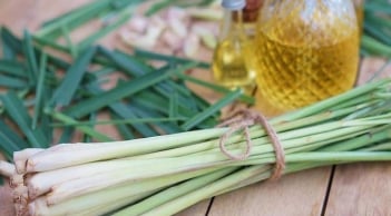 Vì sao nên đặt bó sả vào nhà vệ sinh