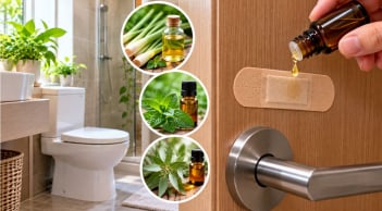 Dán miếng urgo lên cửa nhà vệ sinh làm gì mà nhiều người làm theo?