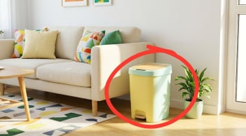 Vì sao không nên đặt thùng rác ở phòng khách?