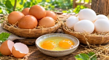 Trứng gà vỏ nâu và trứng gà vỏ trắng: Loại nào bổ dưỡng hơn?