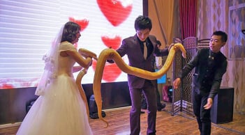 Cặp đôi trao nhau trăn vàng thay nhẫn cưới khiến quan khách hoảng hốt