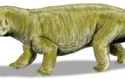 Trước khủng long, đâu là chúa tể muôn loài trên Trái đất?