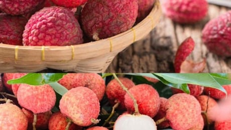 5 Bí Quyết Giữ Vải Thiều Tươi Ngon Trong Nhiều Ngày Mà Không Bị Hỏng