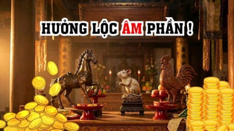 Lộc Âm Phần rất dày, 3 tuổi được gia tiên độ trì khơi thông Lộc Lá