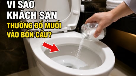 Vì sao khách sạn thường đổ muối vào bồn cầu?