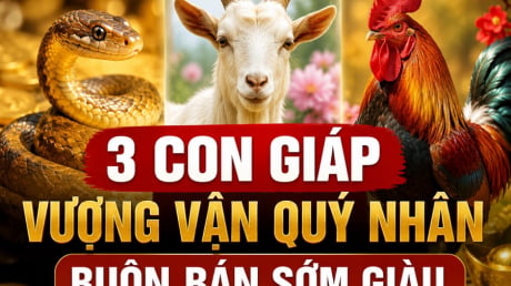 3 con giáp Vượng Vận Quý Nhân, buôn bán sớm giàu