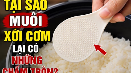 Tại sao muôi xới cơm lại có những chấm tròn?