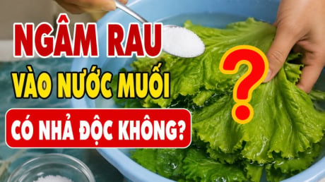 Ngâm rau vào nước muối có nhả độc không?