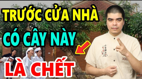 3 cây ác chớ trồng trước nhà: Đặc biệt loại thứ nhất, chặt ngay kẻo hối hận không kịp
