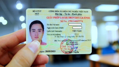 6 trường hợp bắt buộc đổi Giấy phép lái xe năm 2025 để tránh bị xử phạt
