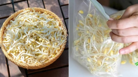 Giá đỗ mua về đừng bỏ ngay vào tủ lạnh, làm theo cách này để cả tuần vẫn tươi ngon