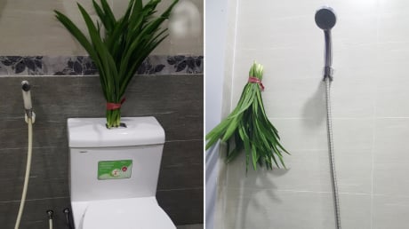 Đặt bó lá này trong nhà vệ sinh: Cả tuần không có mùi hôi, đuổi sạch đàn muỗi, dĩn