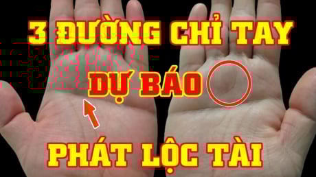 Xoè bàn tay rồi đếm đường chỉ tay: Ra đúng số này làm ăn phất mạnh, giàu to