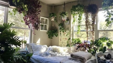 Người xưa chỉ ra: 'Trồng cây cảnh ở 3 nơi, hoa héo, người ốm, tài lộc thất thoát'