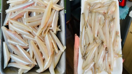 Loại cá thịt chắc ngọt, canxi cao gấp 25 lần cá hồi, giá rẻ lại được đánh bắt tự nhiên