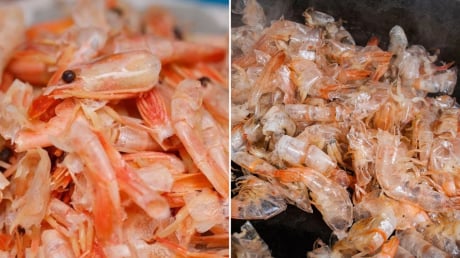 Vỏ tôm có chất gì, có nhiều canxi không?