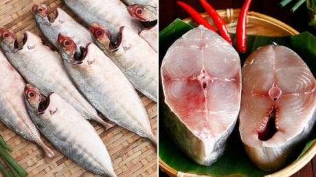 Ai không nên ăn cá? Cá bổ dưỡng đến cũng không được động đũa