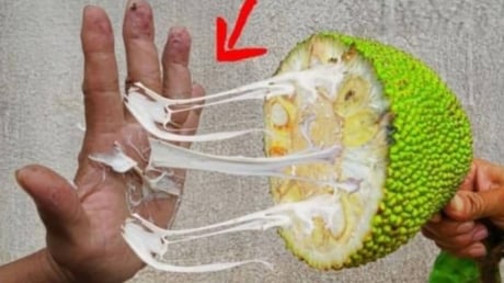 Bóc mít dính nhựa ra tay? Dùng ngay gia vị này để xử lý nhanh, hiệu quả bất ngờ!