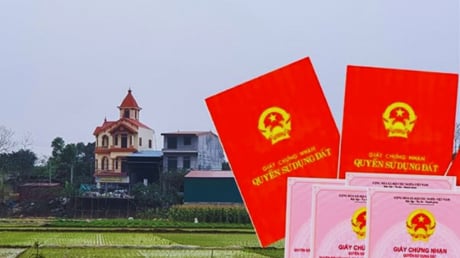 Diện tích tối thiểu bao nhiêu m2 thì được cấp sổ đỏ năm 2025?
