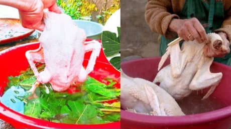 4 Mẹo làm sạch lông vịt, nhổ sạch lông măng, thịt không bị hôi