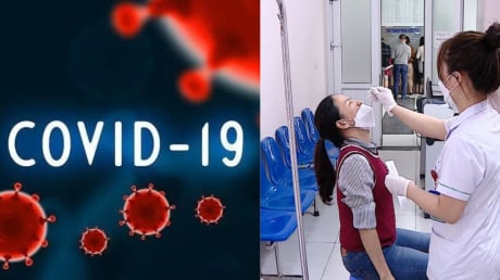 Bộ Y tế chỉ đạo Hỏa Tốc phòng chống dịch bệnh Covid-19, Sốt Xuất huyết