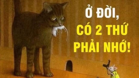 Cuộc đời chỉ có 2 thứ thật sự thuộc về bạn: Có người đến cuối đời mới nhận ra đã quá muộn