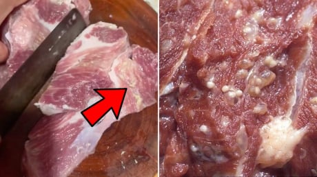 Cách nhận biết thịt lợn bệnh: Đi chợ hay siêu thị, thấy thịt lợn có đặc điểm này, tuyệt đối không mua