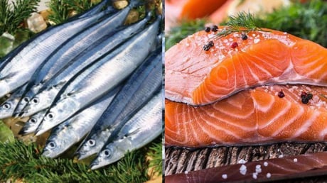 Loại cá là 'vua omega-3', cá hồi chỉ đứng hạng 2: Bán đầy chợ Việt giá cực rẻ