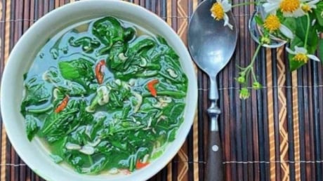 3 loại rau mọc hoang như cỏ dại ở Việt Nam nhưng là thuốc quý ít ai ngờ tới
