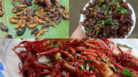 “Sợ xanh mặt” với 3 đặc sản miền Bắc: Nhìn rùng mình nhưng ăn là mê