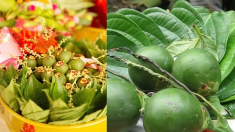 Thắp hương trầu cau xong đừng bỏ đi, dùng trầu cau cách này Làm Đẹp Da trắng sạch mụn