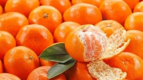 4 loại trái cây được chuyên gia khuyên dùng để hỗ trợ làm sạch phổi, chữa ho và cải thiện hô hấp