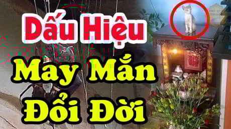 Tổ tiên báo mộng: Nhà có 4 thứ này gia chủ sắp Trúng Số đổi đời, tiền vào như nước