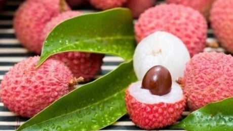 Bí quyết bảo quản vải thiều lâu ngày vẫn tươi mọng, không bị thâm vỏ