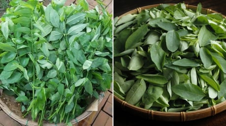 Rau ngót mát bổ nhưng 5 nhóm người này không nên ăn, tránh rước thêm bệnh