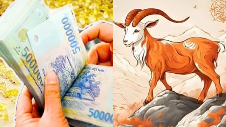 15 ngày liên tiếp (11-25/6): 4 con giáp giẫm lên tiền thành ông hoàng thịnh vượng, no nê tài lộc