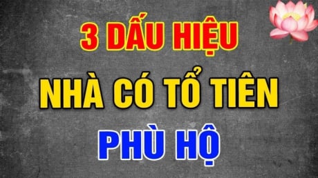 3 dấu hiệu chứng tỏ Tổ Tiên Độ: Gia chủ sắp Trúng Số đổi đời:, chỉ cần có 1 thôi cũng đáng chúc mừng