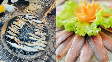 Loại cá này đầy chợ Việt, giá rẻ bằng 1/5 cá hồi nhưng cũng giàu omega, lại ít lo ngậm thủy ngân