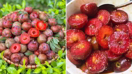 Mận chín ngon khó cưỡng nhưng có 6 nhóm người không nên ăn, thèm mấy cũng đừng động vào