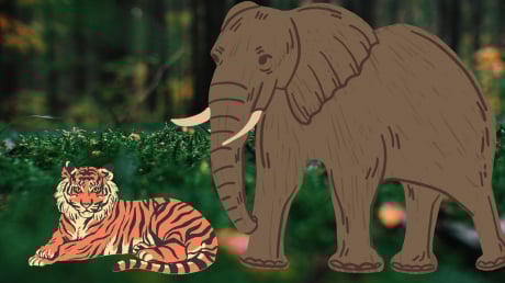 Vì sao động vật ăn Cỏ lại thường to hơn động vật ăn thịt? Người ăn thịt hay ăn rau thì to hơn?