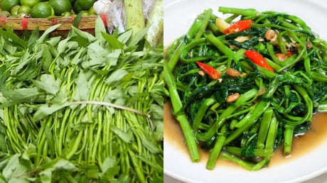 Loại rau giá rẻ đang vào mùa được ví như 'nhân sâm bình dân' của người Việt: 5 lý do nên ăn thường xuyên