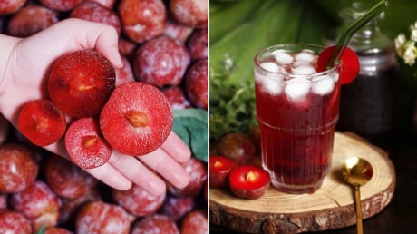 Mận đang vào mùa, tranh thủ làm siro mận, để cả năm vẫn thơm ngon