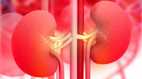 5 dấu hiệu vào buổi tối cảnh báo suy thận, chủ quan là chạy thận cả đời