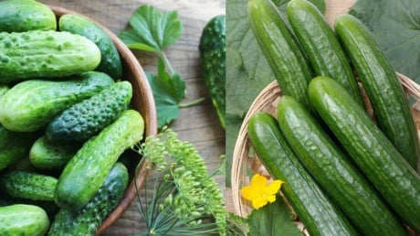 5 nhóm người nên hạn chế ăn Dưa Chuột (Dưa Leo)