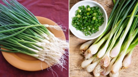 Hành lá là gia vị không thể thiếu trong nhiều món nhưng có 4 nhóm người không nên ăn