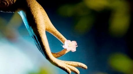 Nếu thay đổi 2 thói nghĩ này, vận số sẽ lập tức hanh thông, gặp được thiện duyên, tài lộc dồi dào