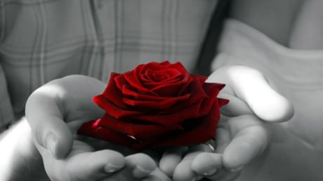 Người tốt với cha mẹ thì có thể tốt với thiên hạ, người tốt với thiên hạ chưa chắc tốt với cha mẹ