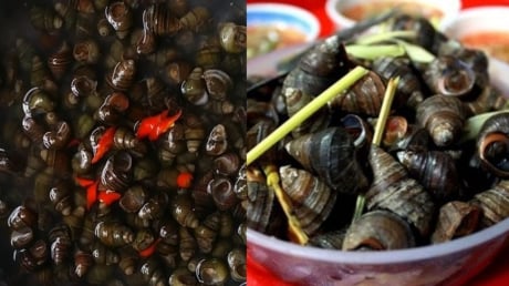 Mẹo ngâm ốc nhanh nhả sạch nhớt, bẩn, không tanh