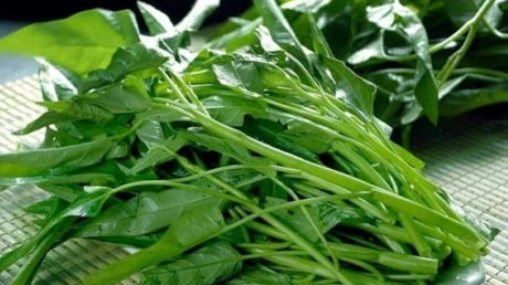 Những người mắc 3 loại bệnh này nên cẩn thận khi ăn rau muống